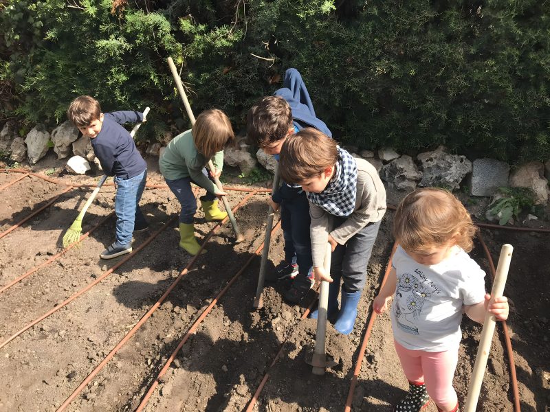 Preparamos el huerto para plantar